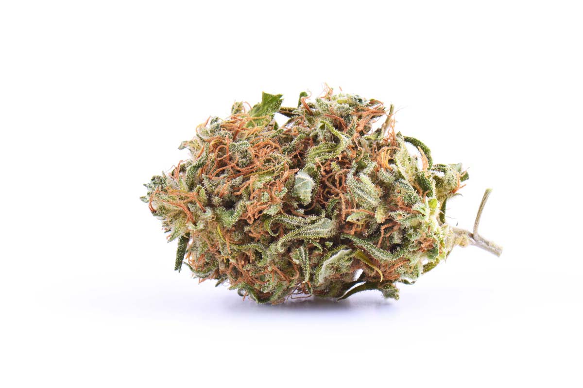 Cannabis Sorte Blute Bud Blute Apotheke Wirkung Thc Aroma Orange