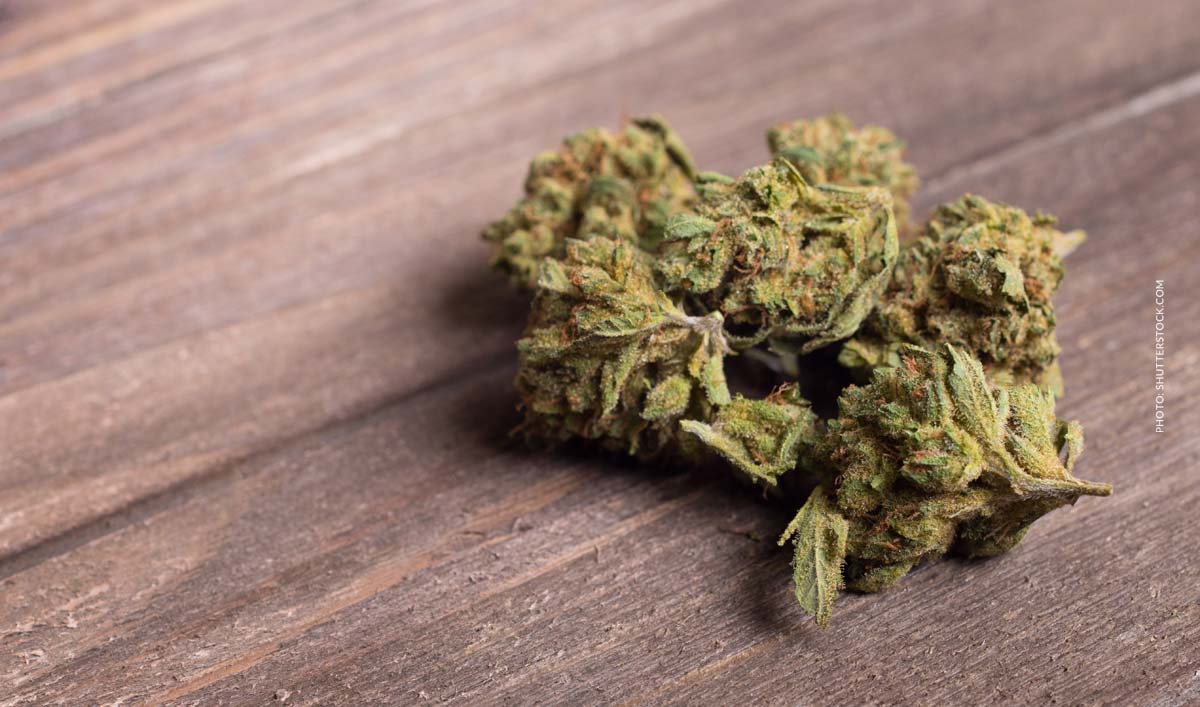 Strawberry Ice: Sorte, Aroma & THC Gehalt
