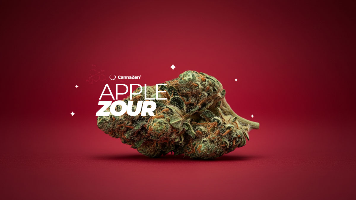Zour Apple: Sorte, Aroma & THC Gehalt