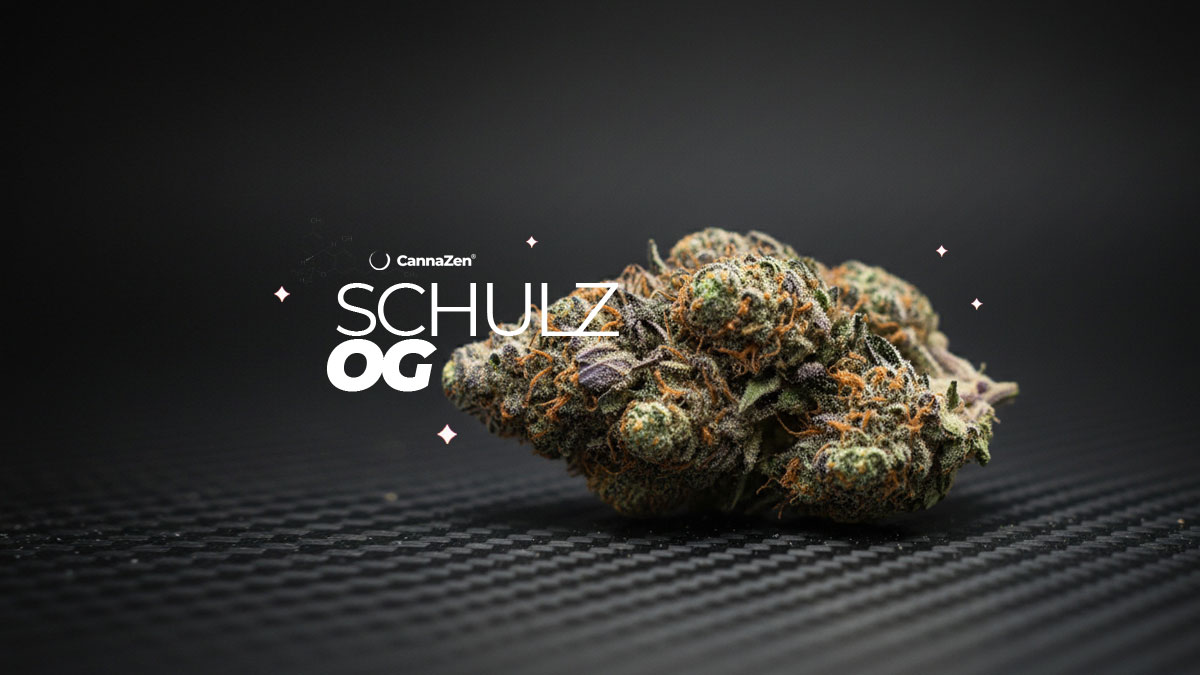 Pink Panties: Sorte, Aroma & THC Gehalt